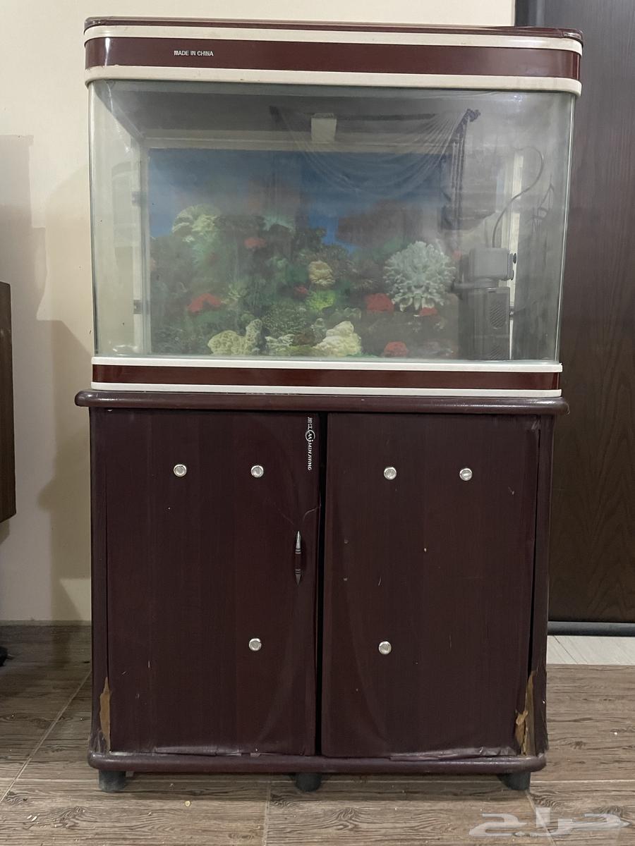 Fish tank for sale630887457443851112