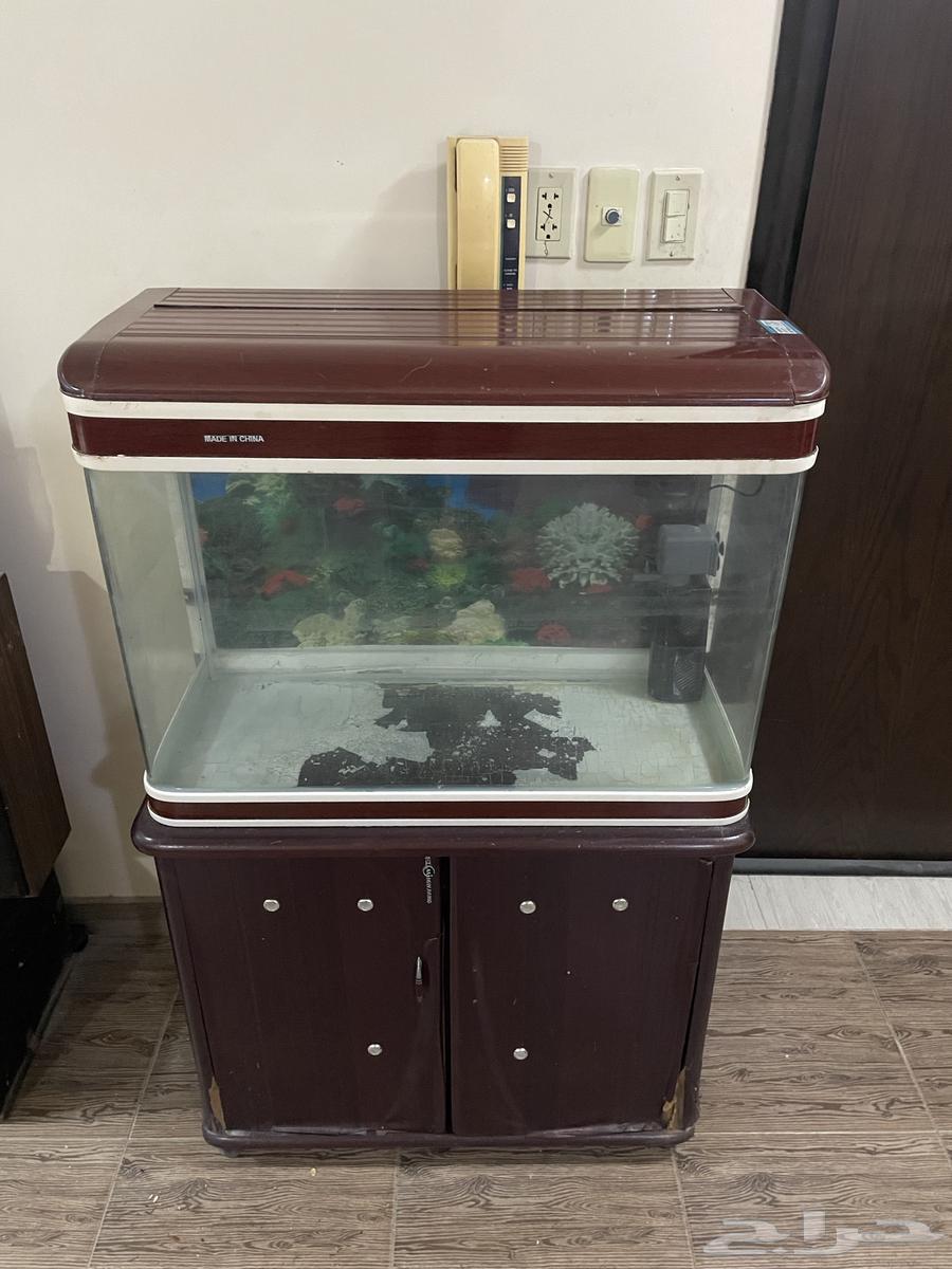 Fish tank for sale63088745744385111