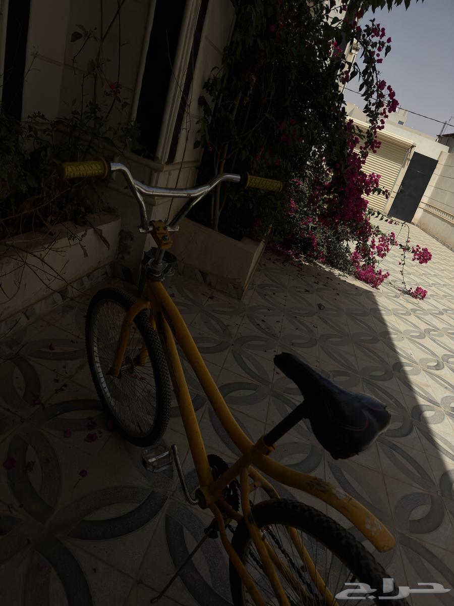 سيكل كوبرا في المجمعة63087951971714112