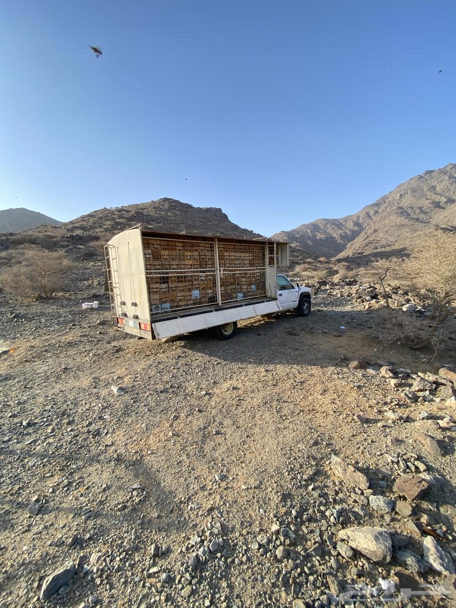 نحل جمس موديل 99 قير عادي دبل تماتيك منحول فوق التسعين63132146355842112