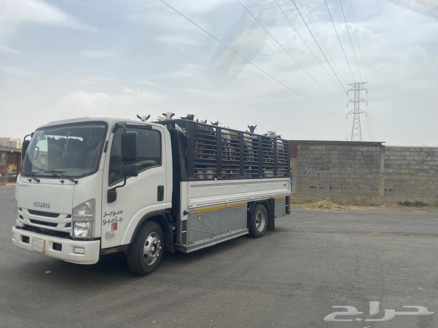 دينا دينه محايل عفش غنم ابل بقر خيل طابق سقايل ابها الخميس630173512254741124