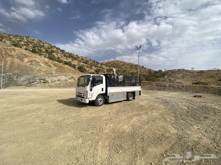 دينا دينه محايل عفش غنم ابل بقر خيل طابق سقايل ابها الخميس63017351225474112