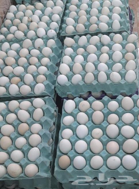 Local chicken eggs, an unrestricted substance, produced daily and available630883468096011119