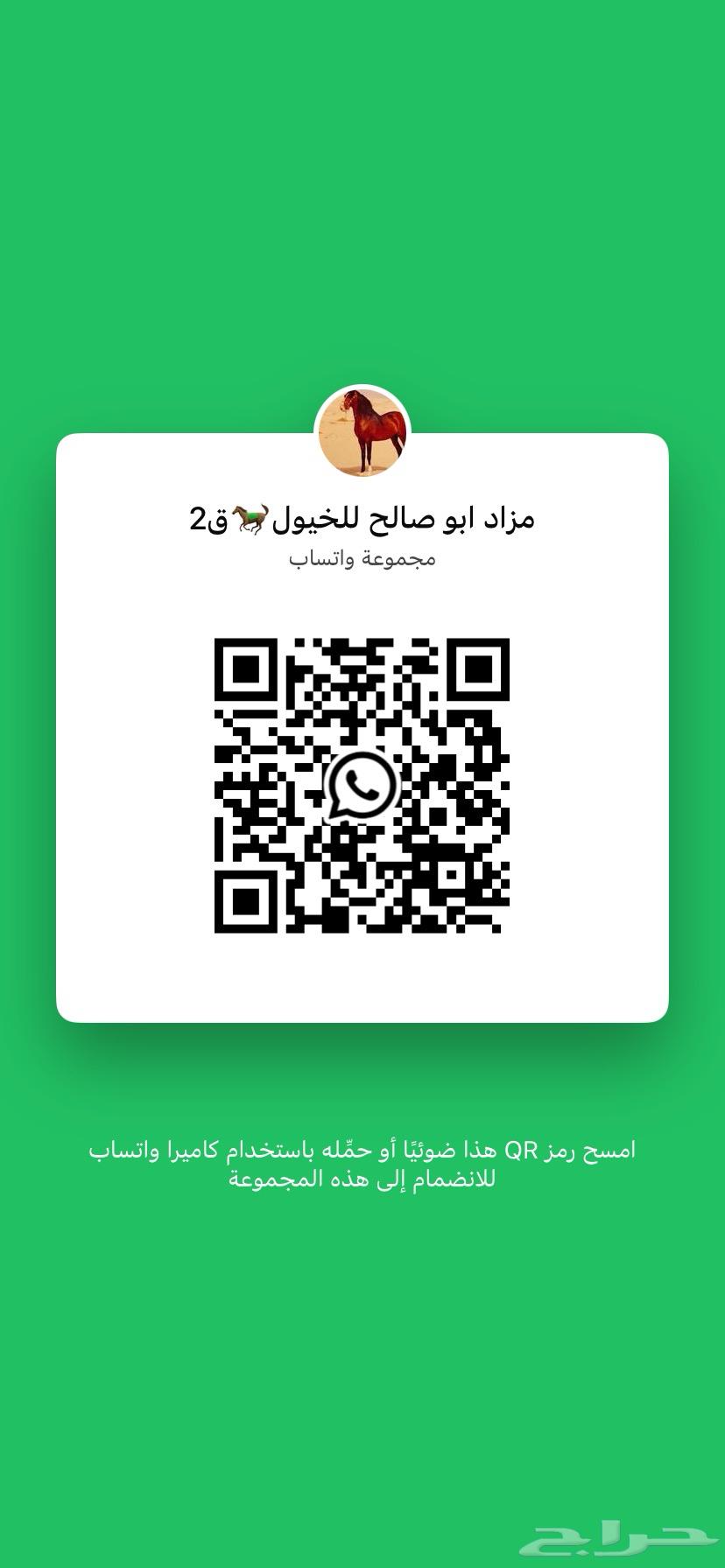 حصان واهو شيخ وطيب من اطباع وركوب63088371298305111