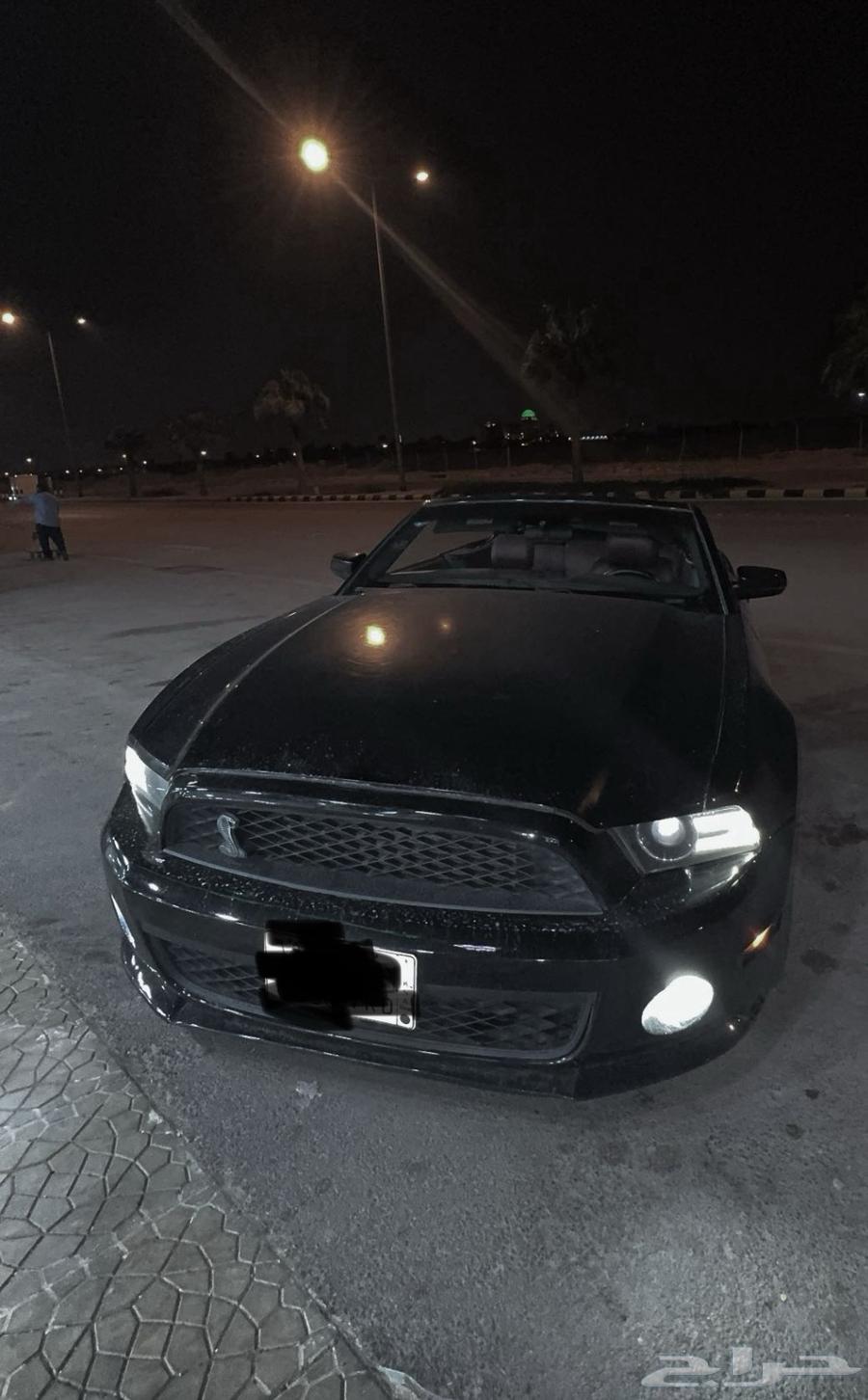 Used Shelby Mustang GT 201363149146522753111