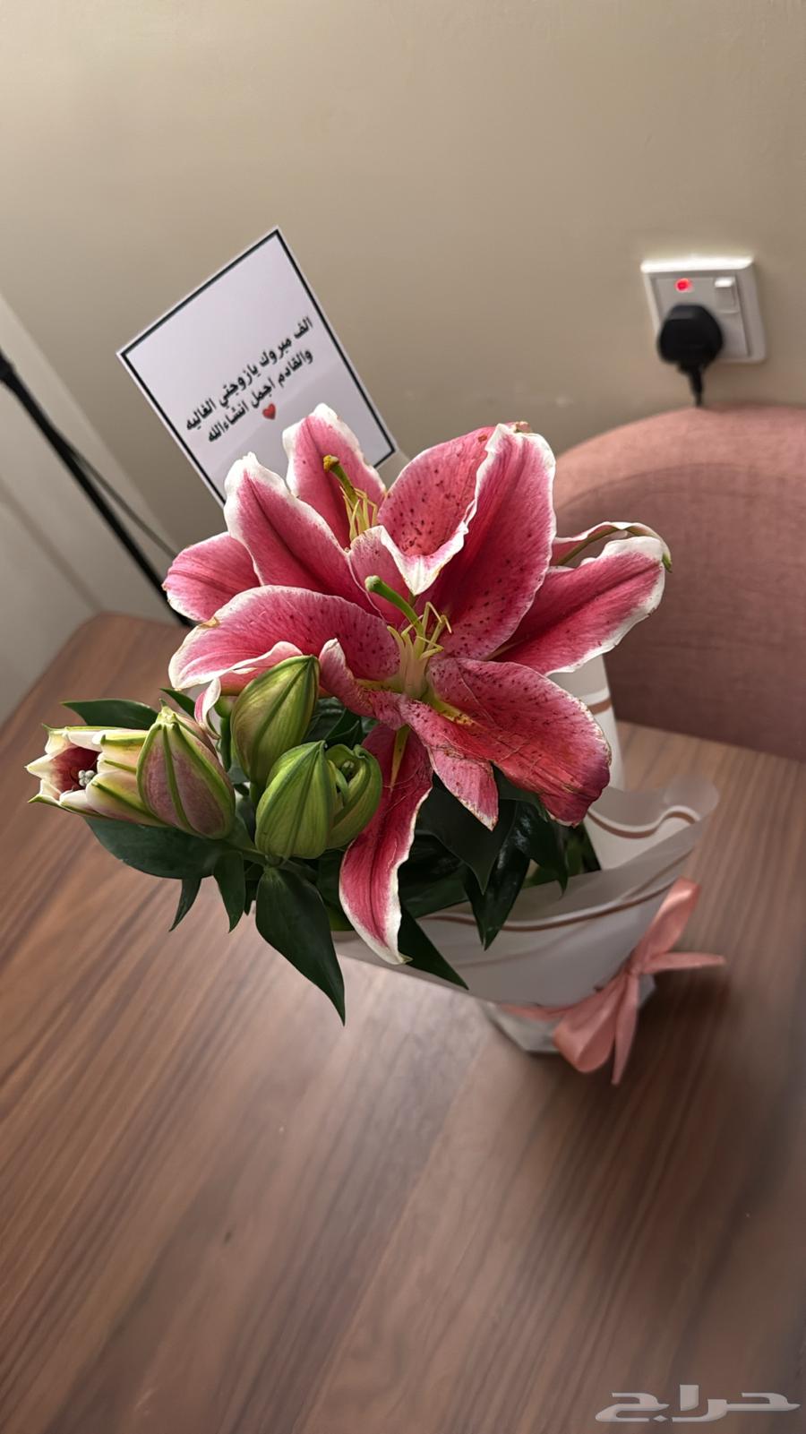 Indoor plant jasmine and night-blooming cereus63085576223233111