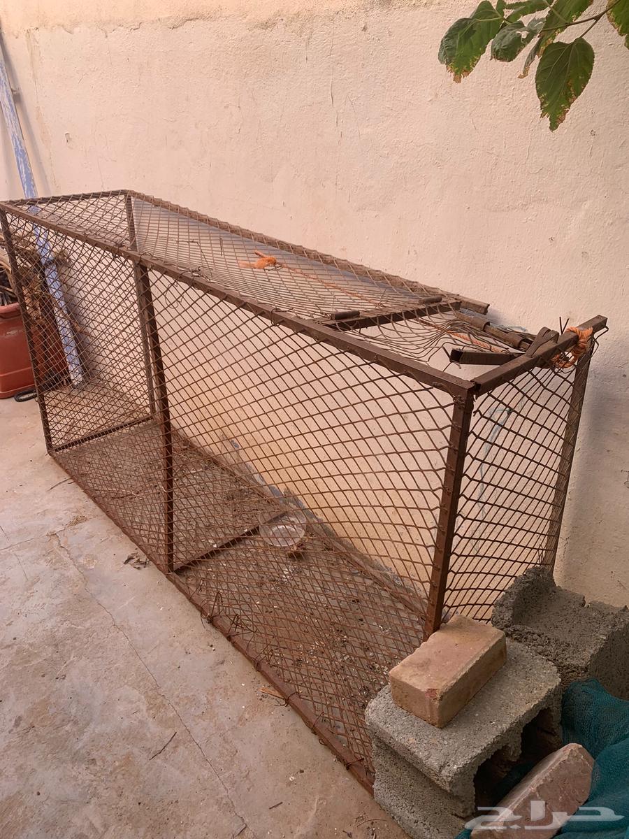 Chicken net for sale63085983727491117