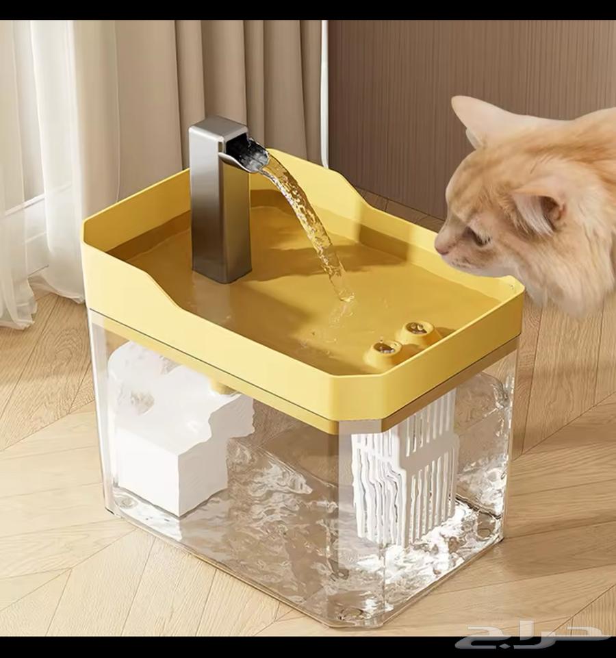 Bird and cat water fountain63085988965251111