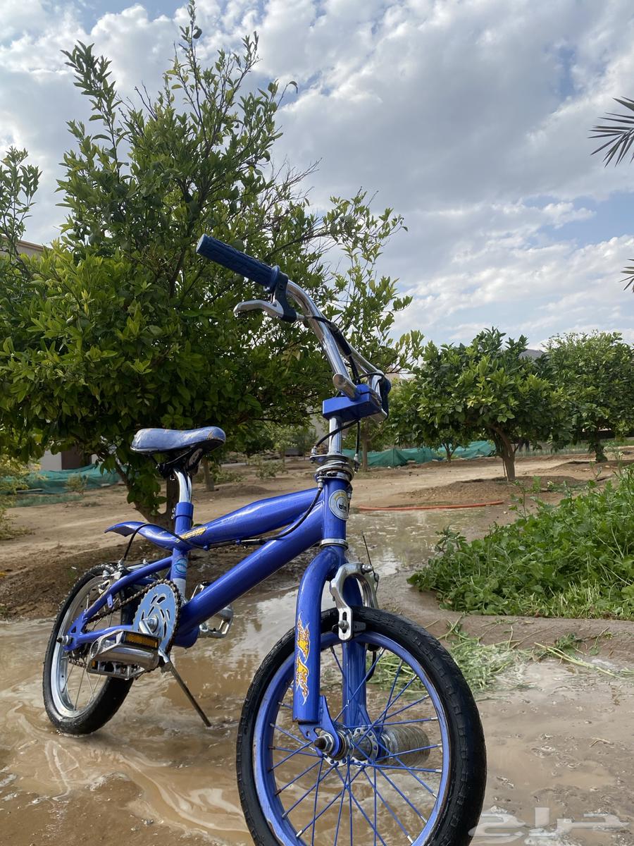 Cobra bicycle63085145771393112
