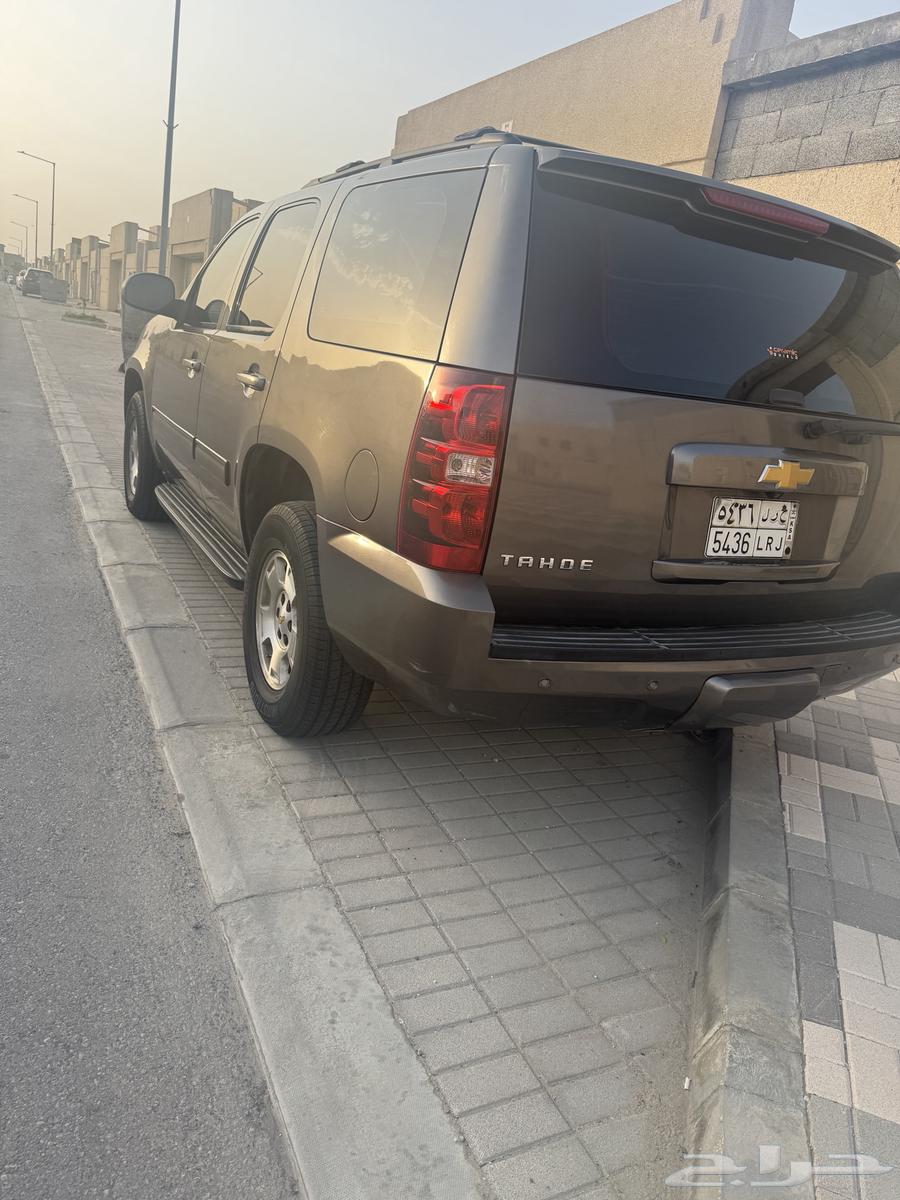 Tahu 2014 LT63127807649027113