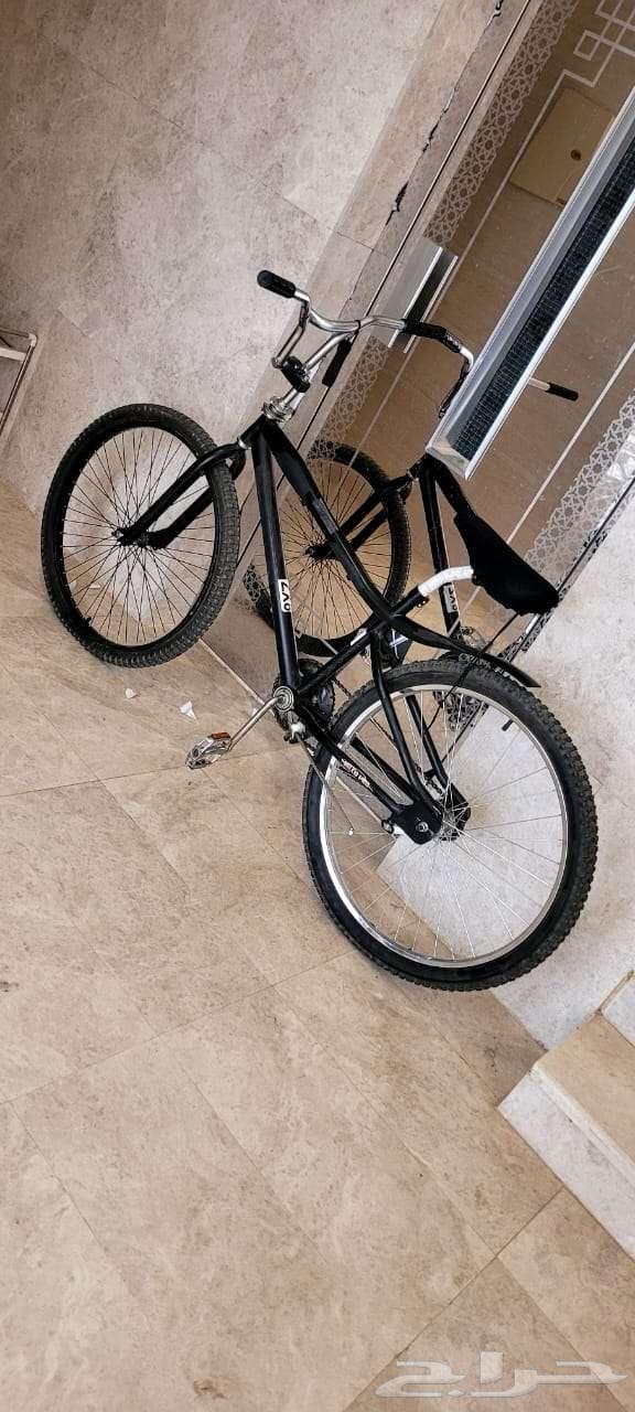 دراجة كوبرا63085130541826111