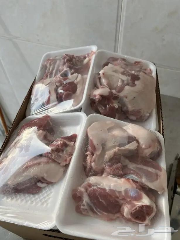 Your slaughter is at the door of your house63083464028802111