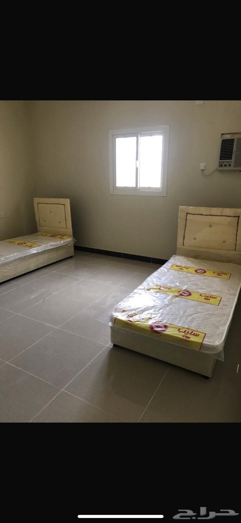 شقق عزاب فاخرة للايجار63010917667715112