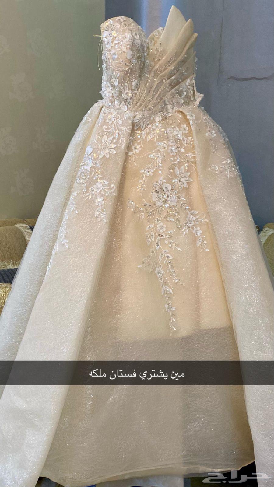 الباحه63083459154562118