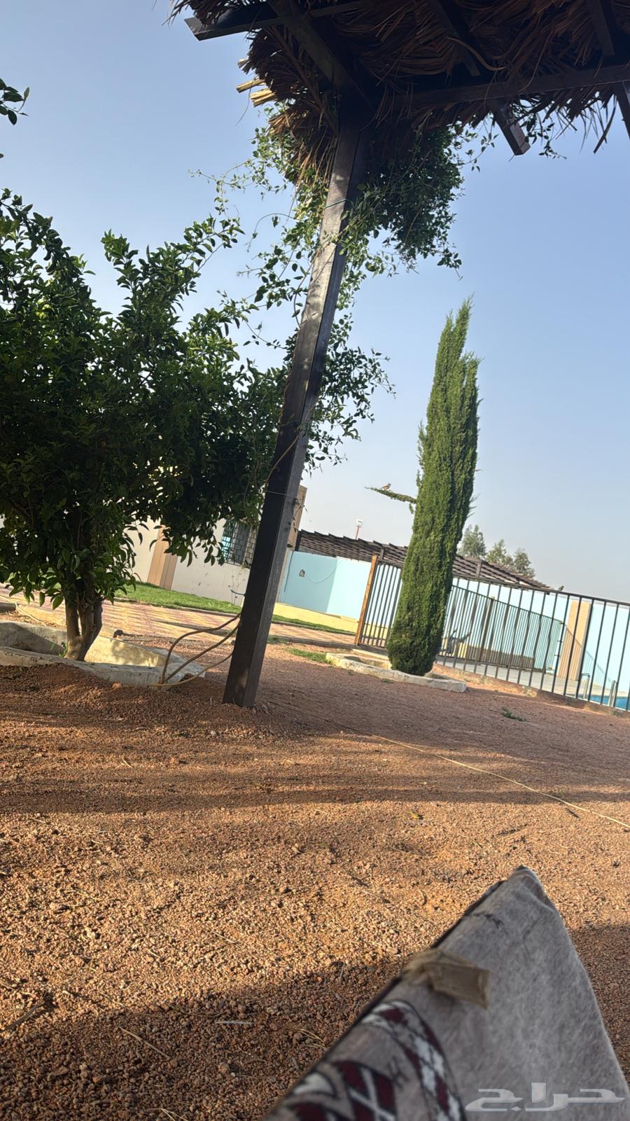 استراحة منتجع سحاب62933701527811112