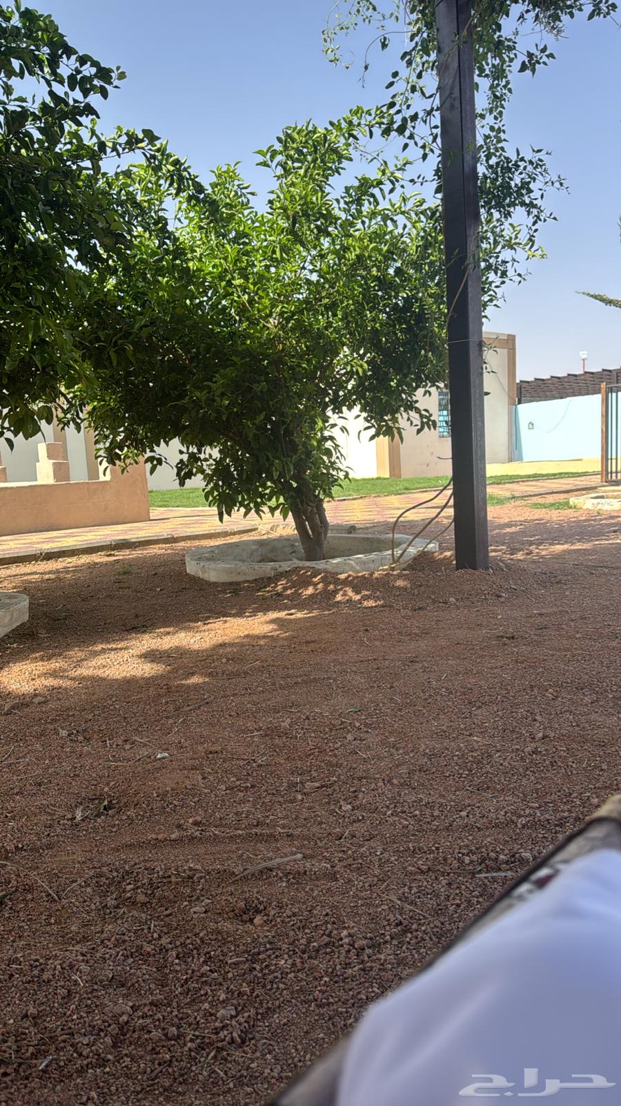 استراحة منتجع سحاب62933701527811114