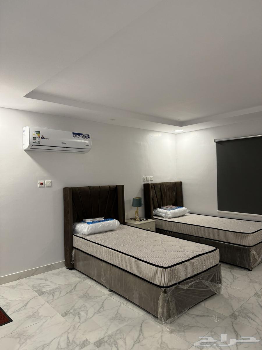 للايجار شقق عزاب مؤثثه ( جديد )63010918815362112