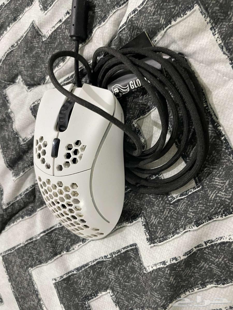 Mouse63081465961729117