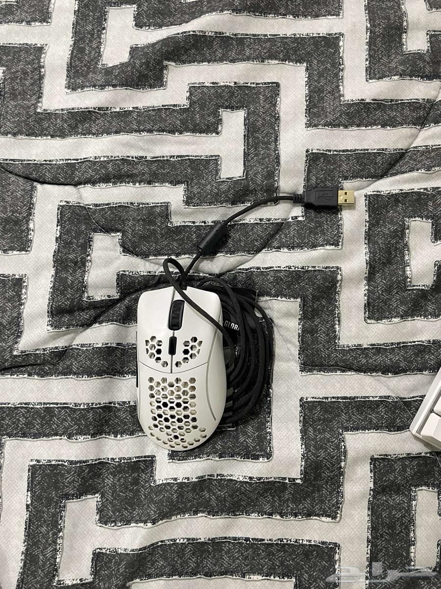Mouse63081465961729112
