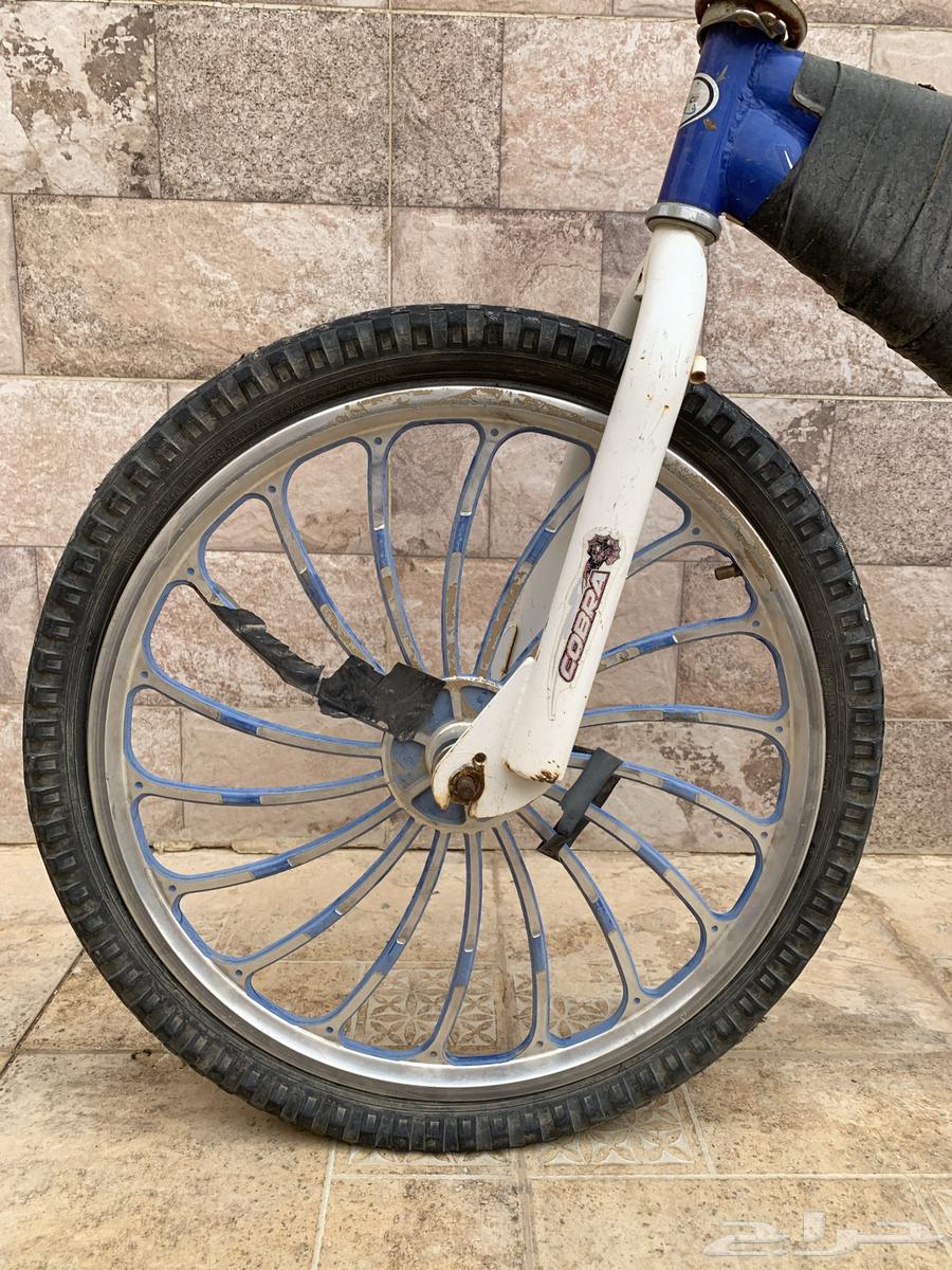 Cobra Bike 2063083485192450112