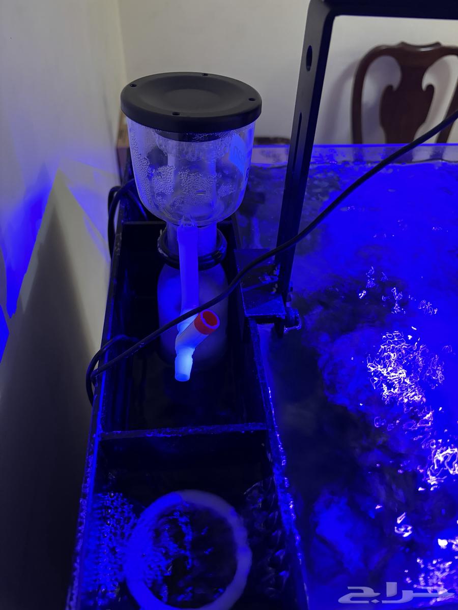 Saltwater aquarium with stand and equipment63081440154753113