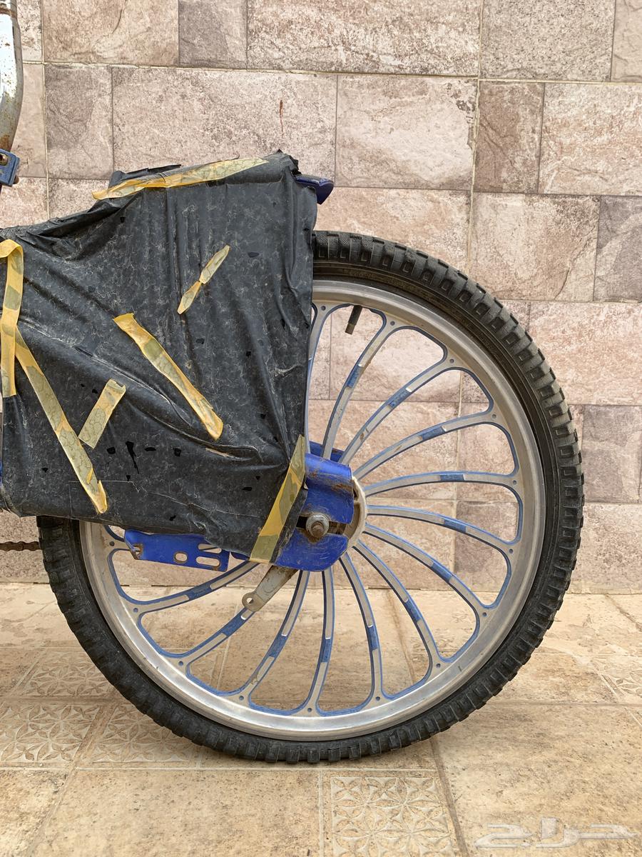 Cobra Bike 2063083485192450111