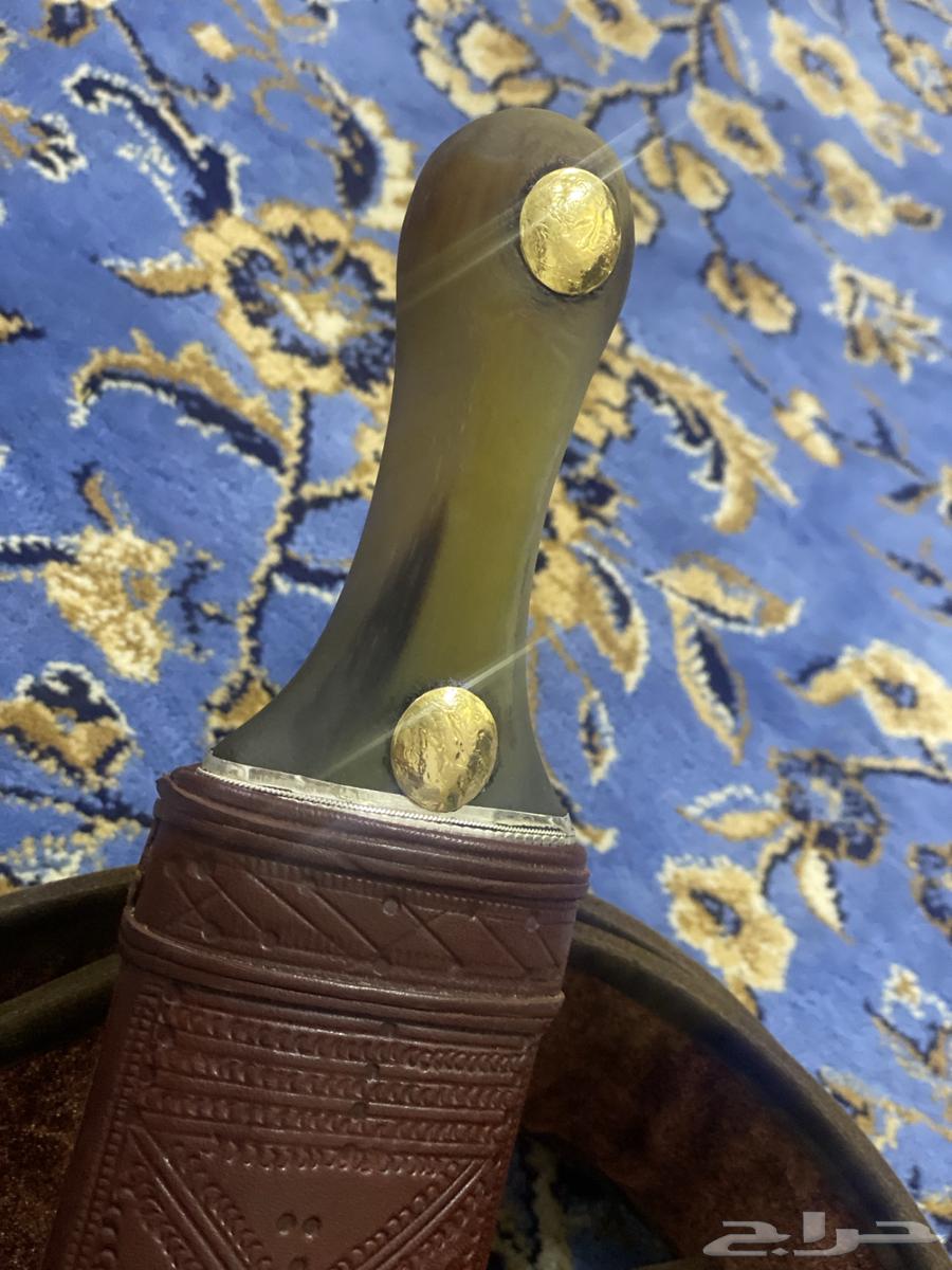 جنبيه قرن صافي63083444573315113