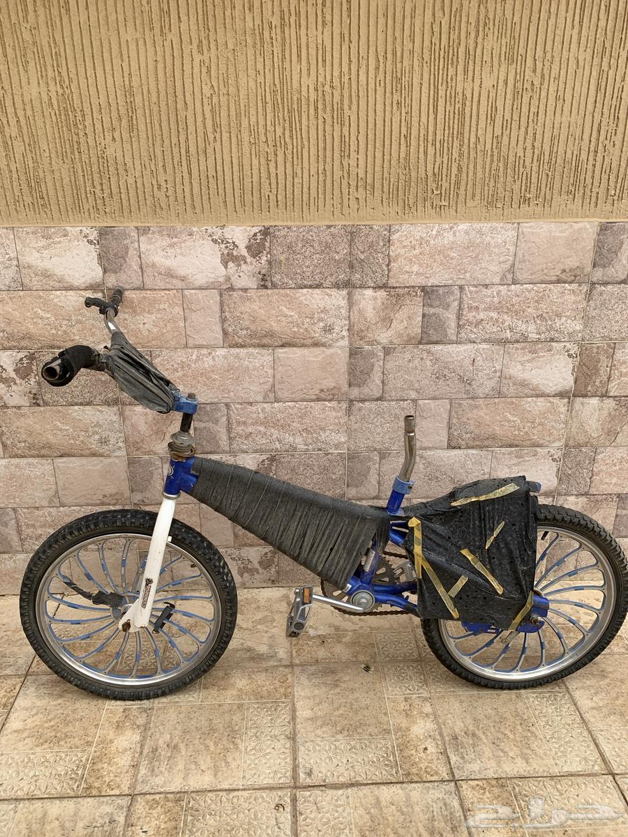 Cobra Bike 2063083485192450118