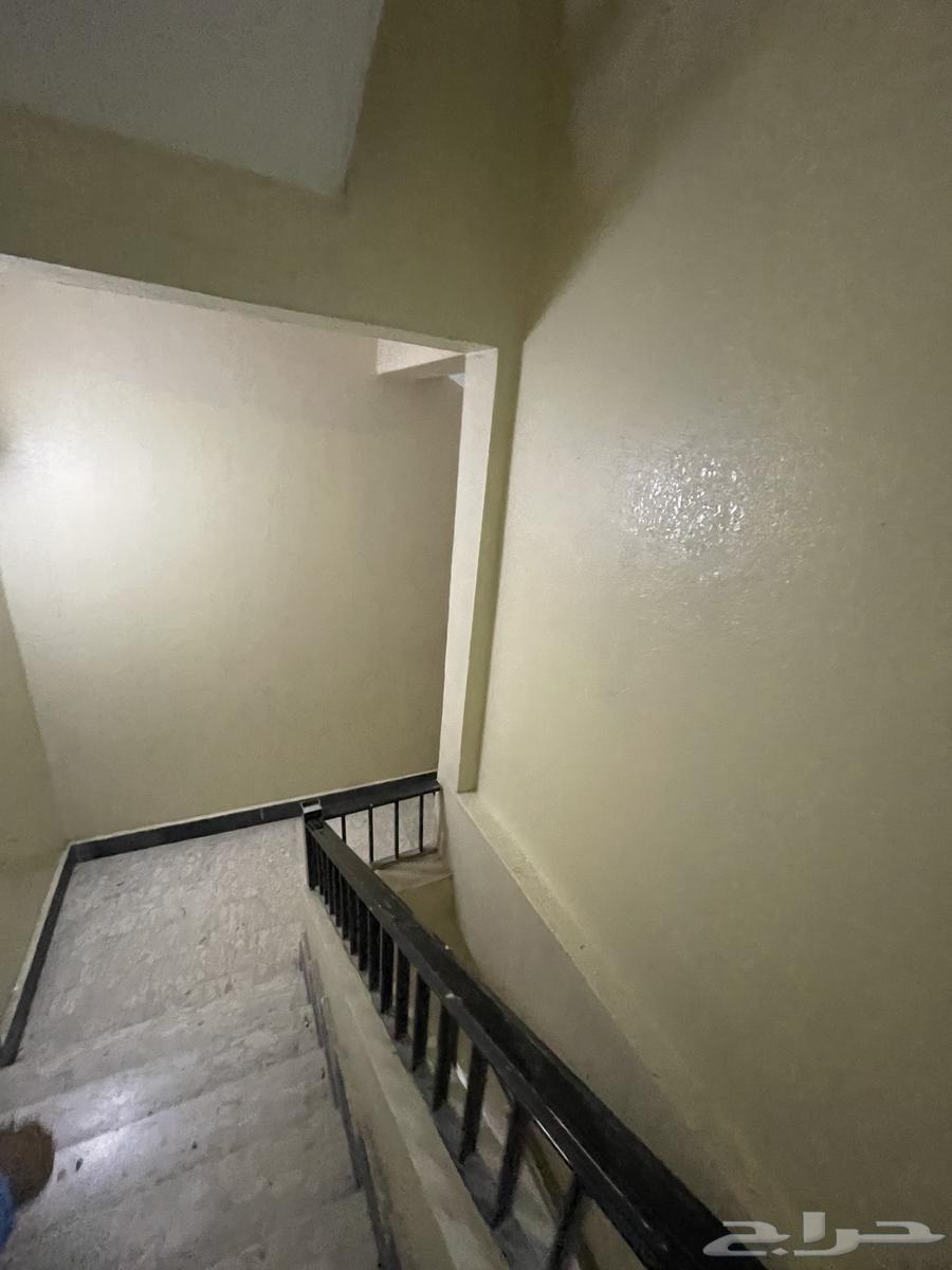 للايجار حج63122140667905113