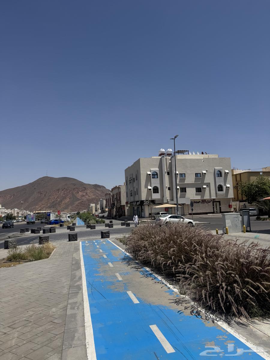 عمارة للإيجار بالكامل على طريق الامام مسلم63011589244802111
