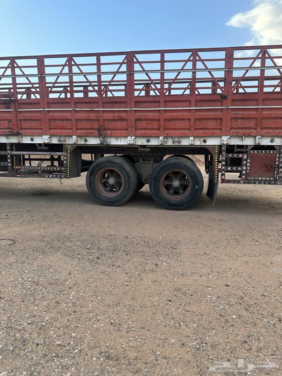 Tider young sides63442374885249115