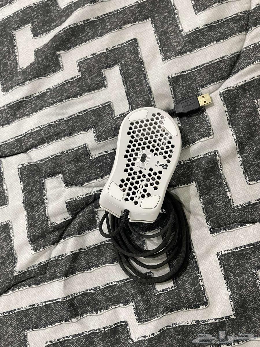 Mouse63081465961729111