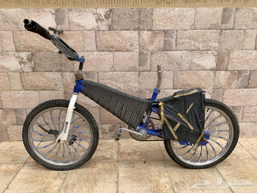 Cobra Bike 2063083485192450113