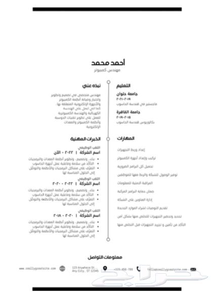Curriculum Vitae Design63081874919810112