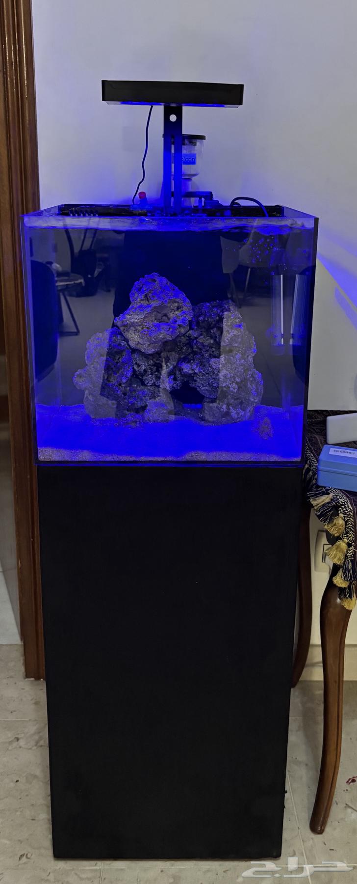Saltwater aquarium with stand and equipment630814401547531127