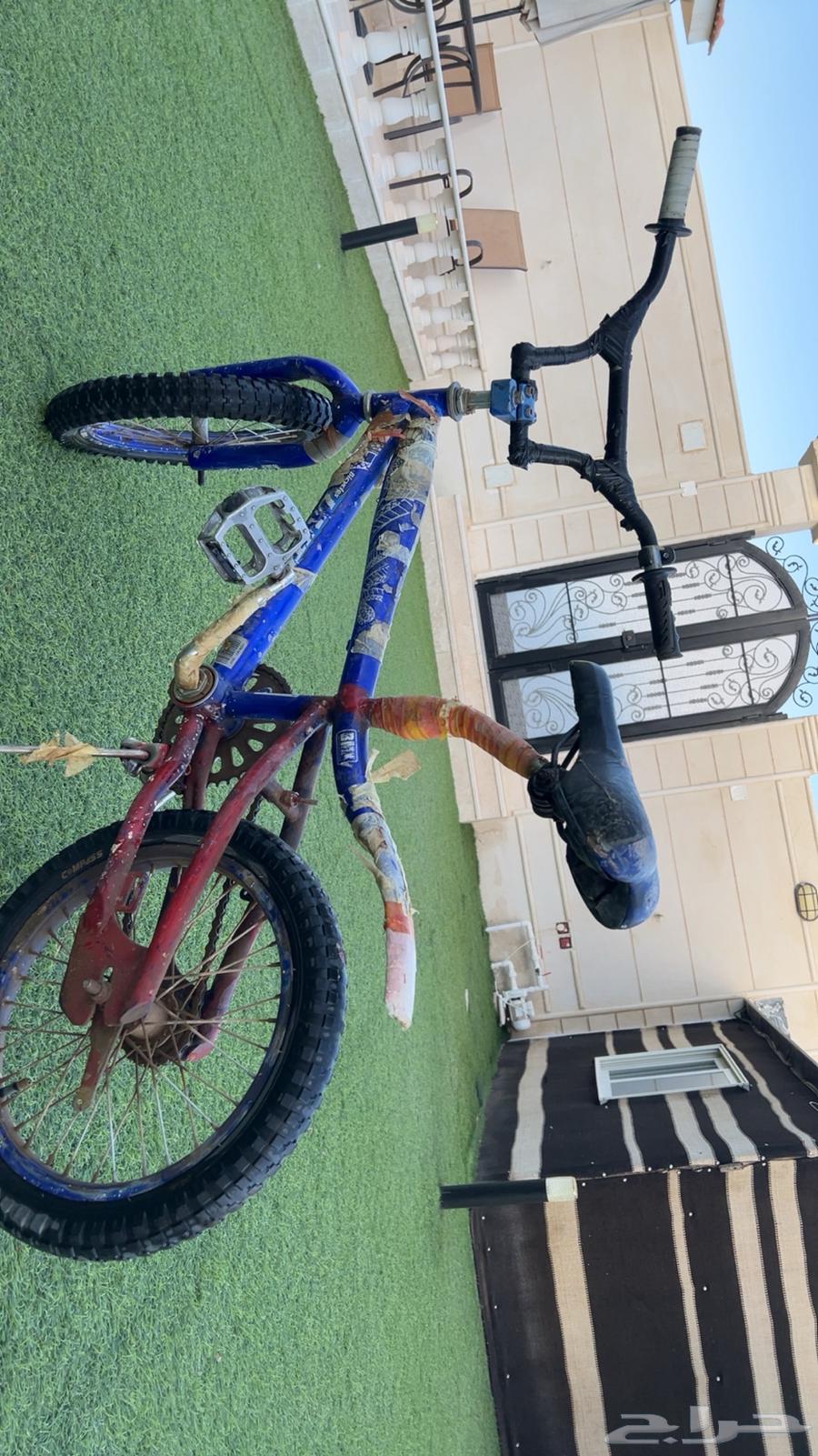 Cobra Cycle63119923182465112