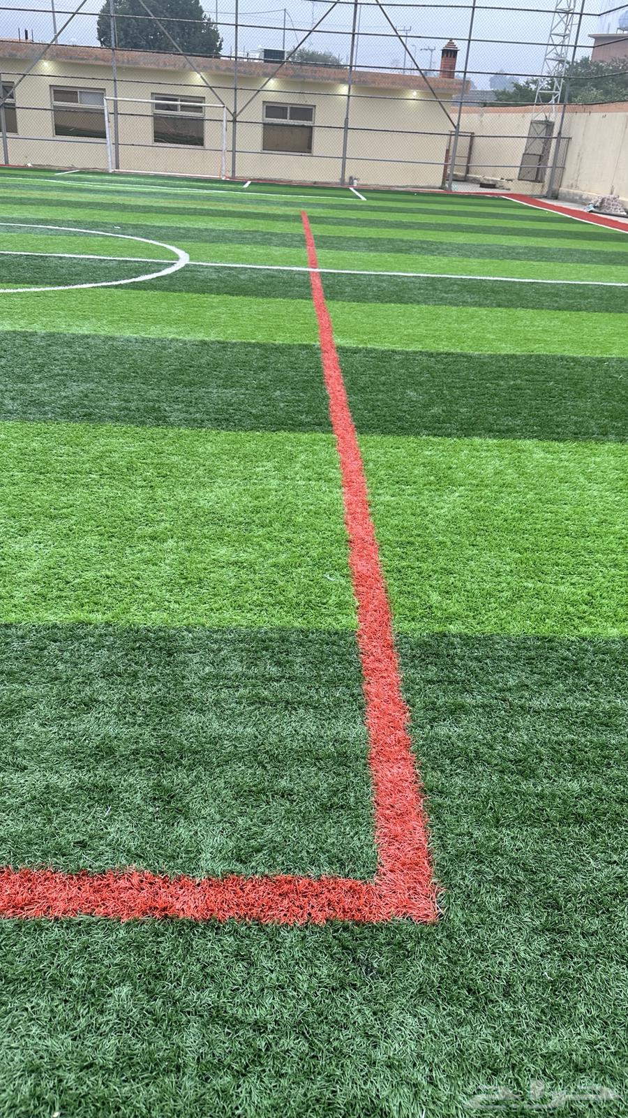 Artificial grass and home decorations63078982341379113
