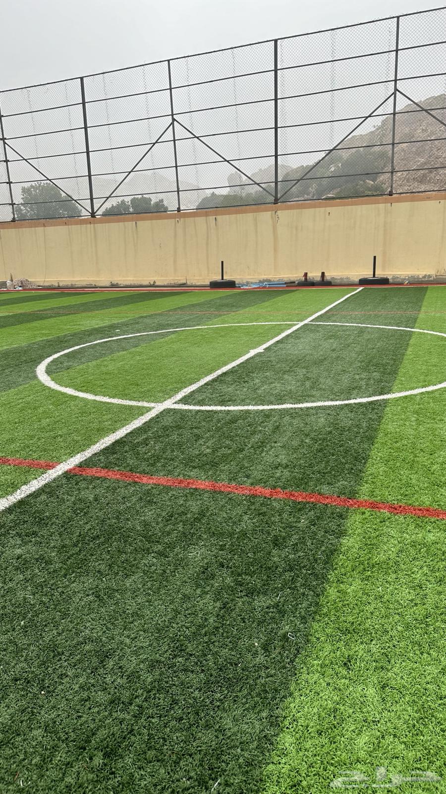 Artificial grass and home decorations63078982341379111