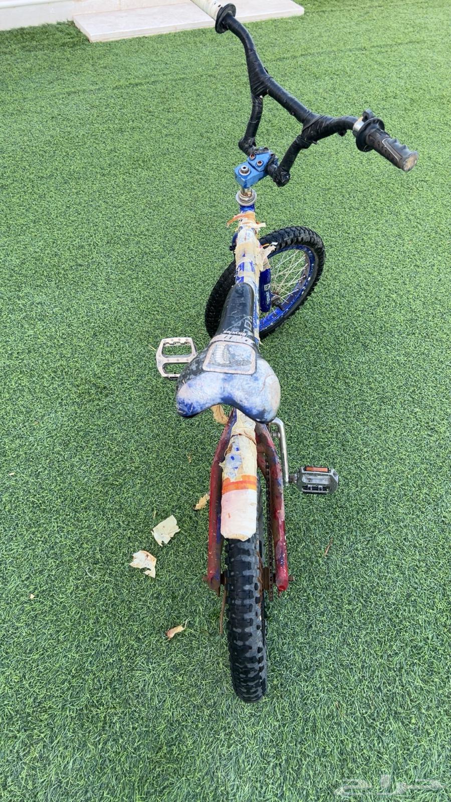 Cobra Cycle63119923182465111