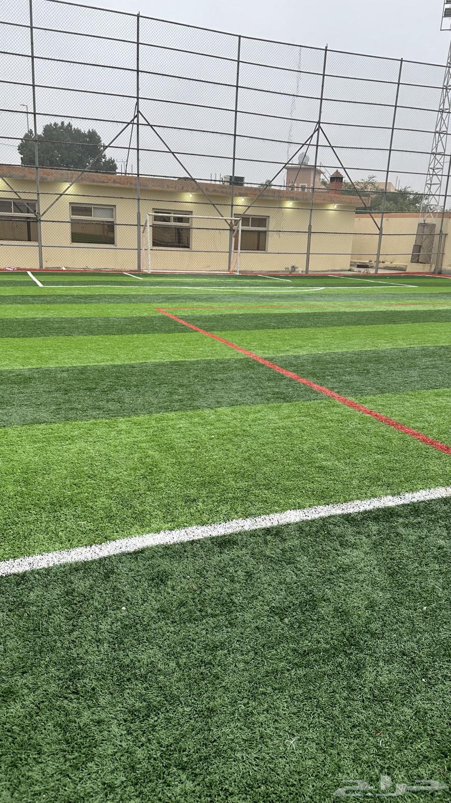 Artificial grass and home decorations63078982341379112