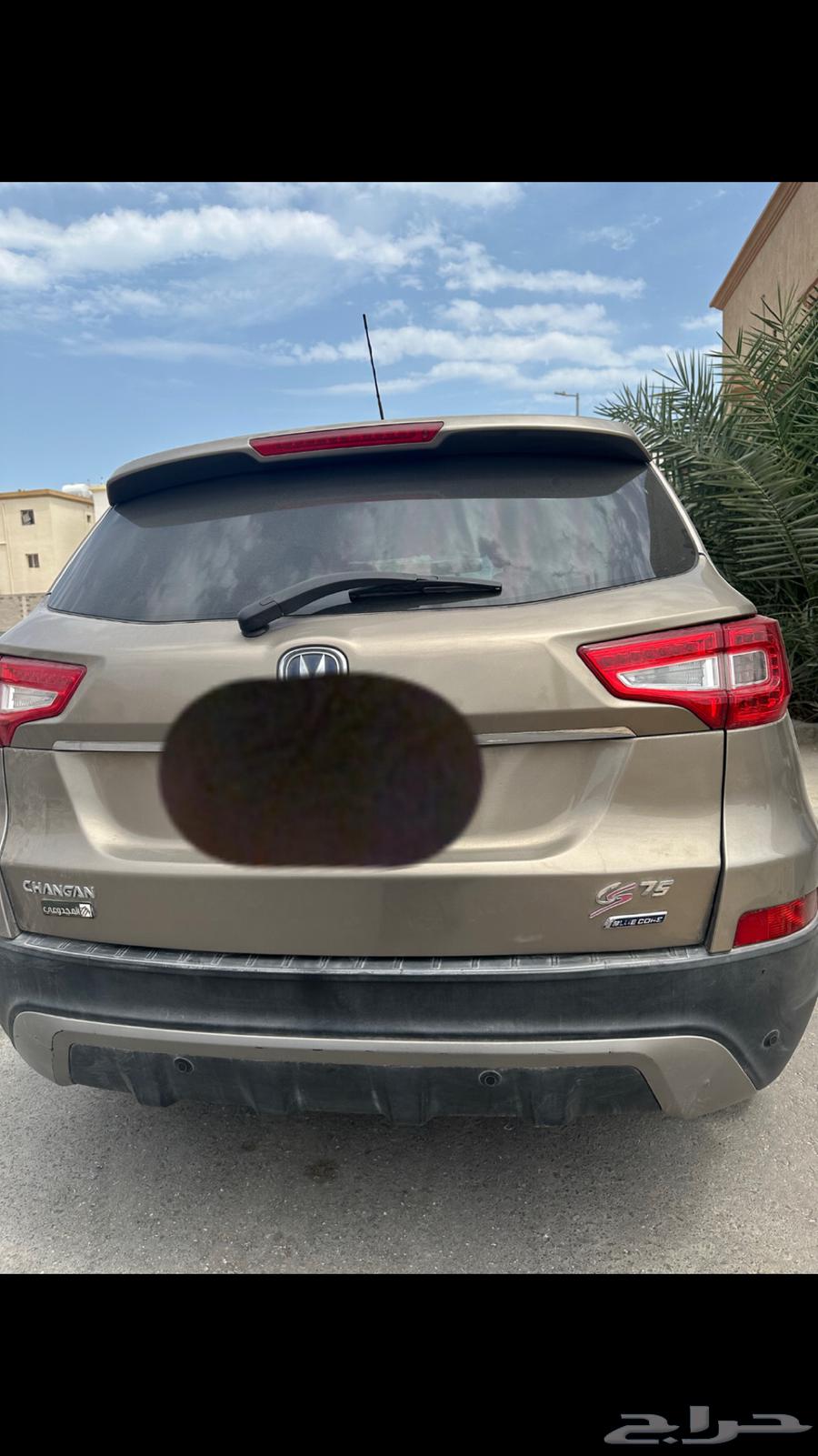 شانجان 201863119904010754111