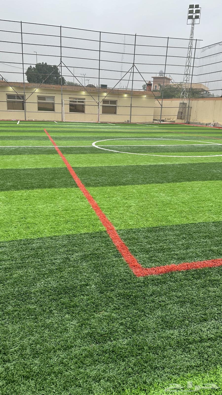 Artificial grass and home decorations63078982341379111
