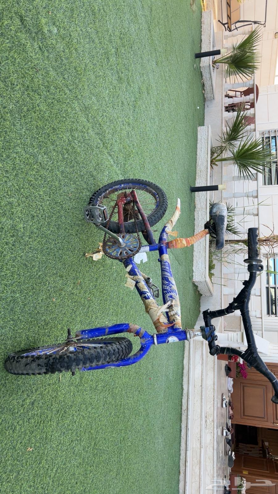 Cobra Cycle63119923182465110