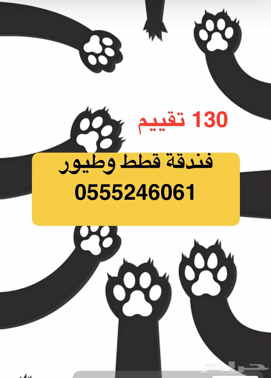 فندقة قطط وطيور وقت سفركم 136 تقييم ايجابي63471161240067111