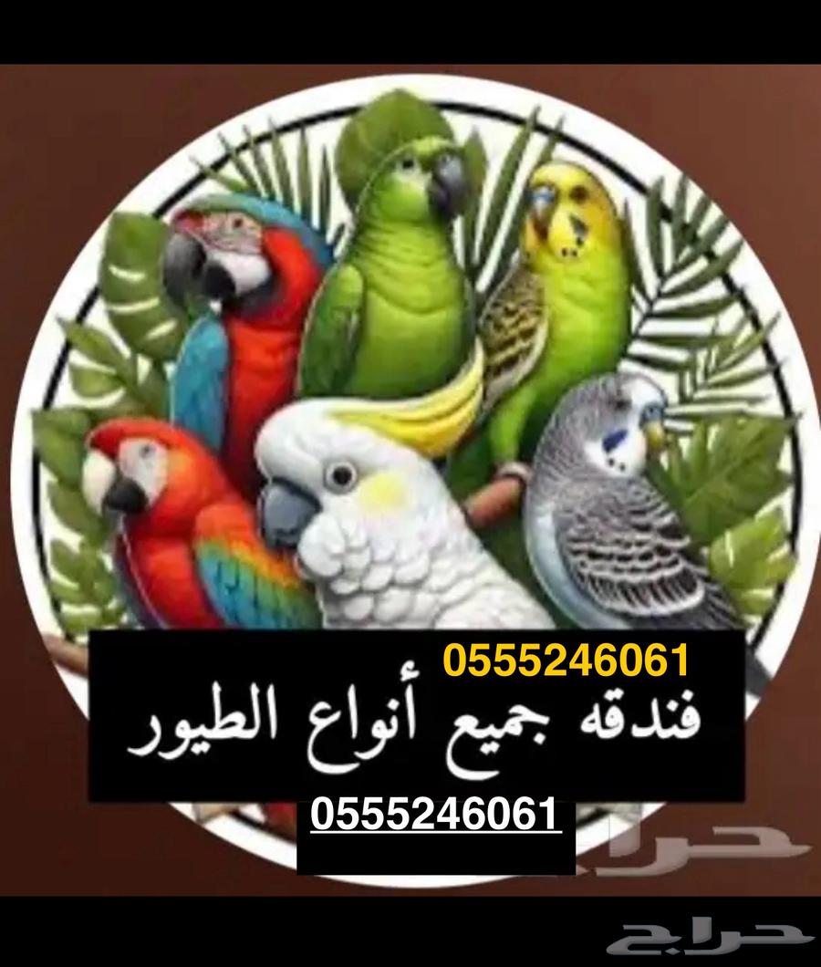 فندقة قطط وطيور وقت سفركم 136 تقييم ايجابي63471161240067113