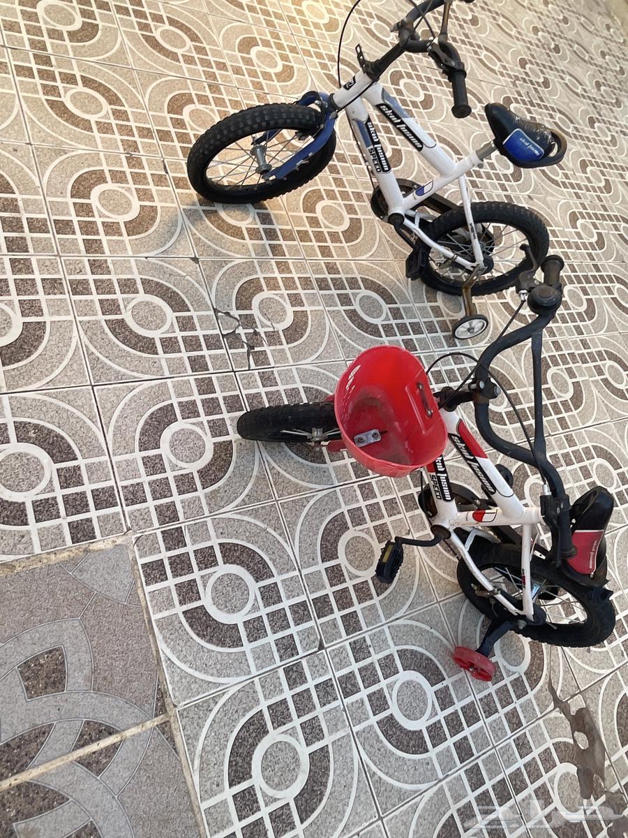 Cycle 263079788030211115