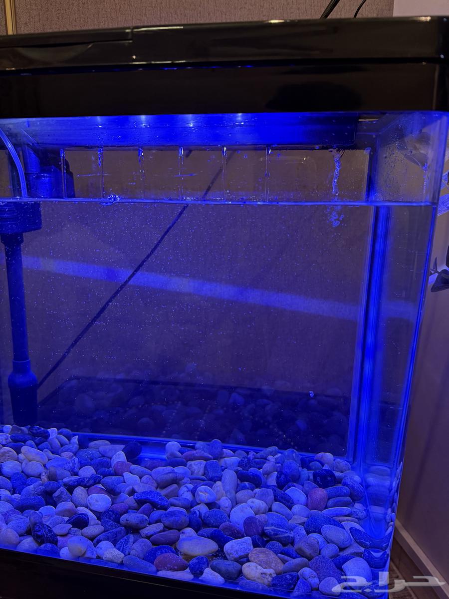 Fish tank with complete equipment, clean and used like new63078961227265114