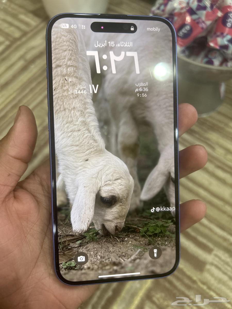 iPhone 16 Plus, used for less than a month63079788179329111