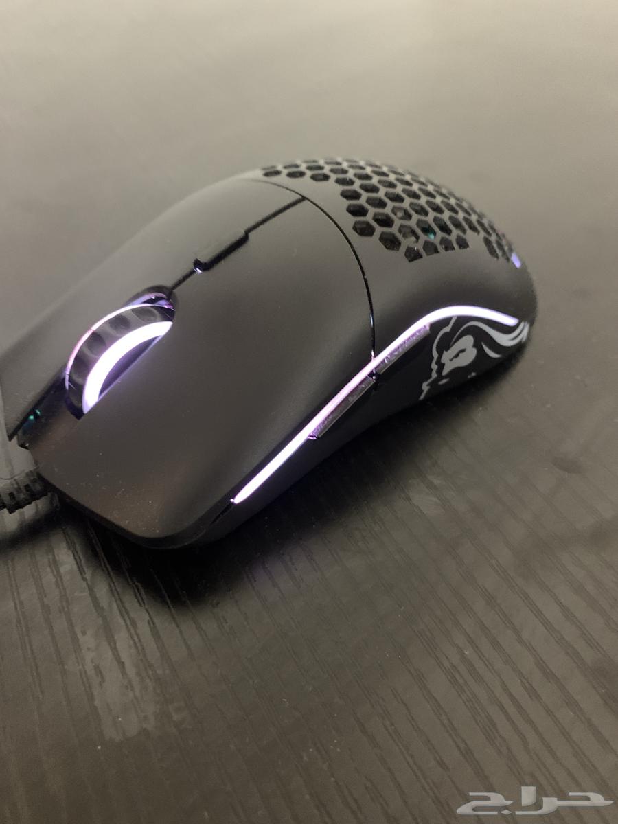 Gloris mouse model o63471130754434111