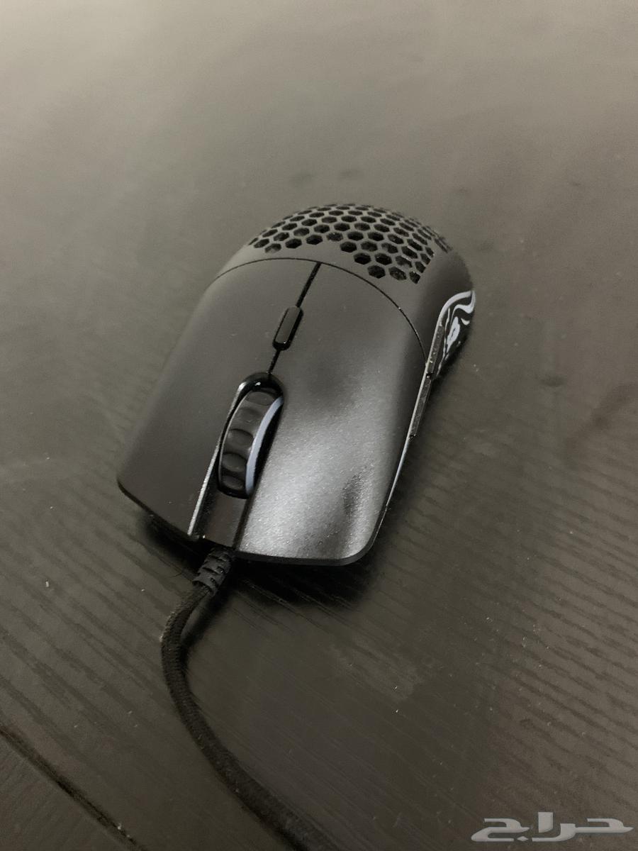 Gloris mouse model o63471130754434110